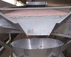 Automated Processing